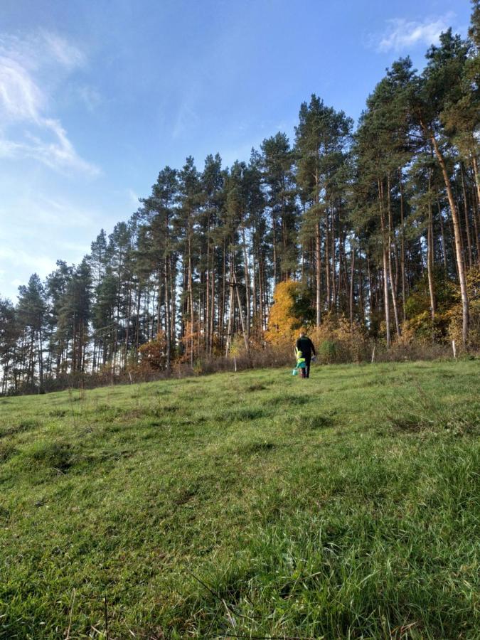 Ferienhaus Nad Jeziorem - Zalesie 7d Zalesie (Olsztyn)